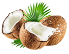 ココナッツオイルのイメージ画像