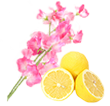 花とレモンのイメージ画像