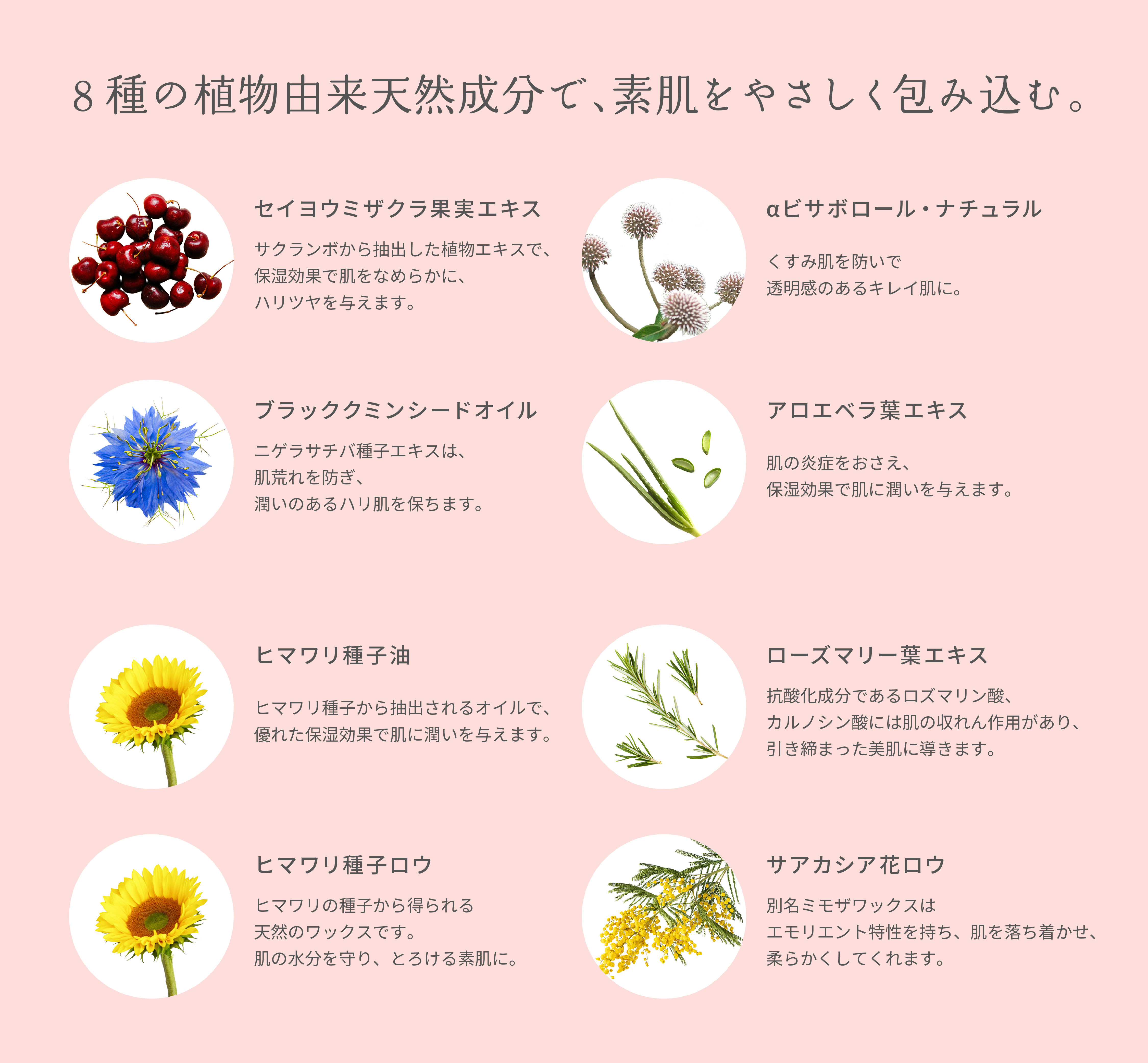8種の植物由来天然成分配合で素肌をやさしく包み込みます。セイヨウミザクラ果実エキス、アロエベラ葉エキス、ヒマワリ種子油、ヒマワリ種子ロウで保湿をし、ブラッククミンシードオイル、ローズマリー葉エキスで保護し、サアカシア花ロウで肌を柔らかくし、αビサボロールでくすみを防ぎ透明感のあるキレイ肌に