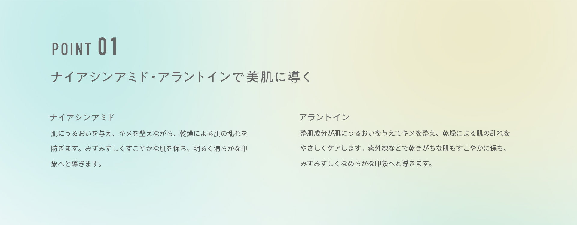 ポイント１，ナイアシンアミド・アラントインで美肌に導く。ナイアシンアミドは肌にうるおいを与え、キメを整えながら乾燥による肌の乱れを防ぎます。みずみずしくすこやかな肌を保ち、明るく清らかな印象へと導きます。アラントインは整肌成分が肌にうるおいを与えてキメを整え、感想による肌の乱れをやさしくケアします。紫外線などで乾きがちな肌もすこやかに保ち、みずみずしくなめらかな印象へと導きます。