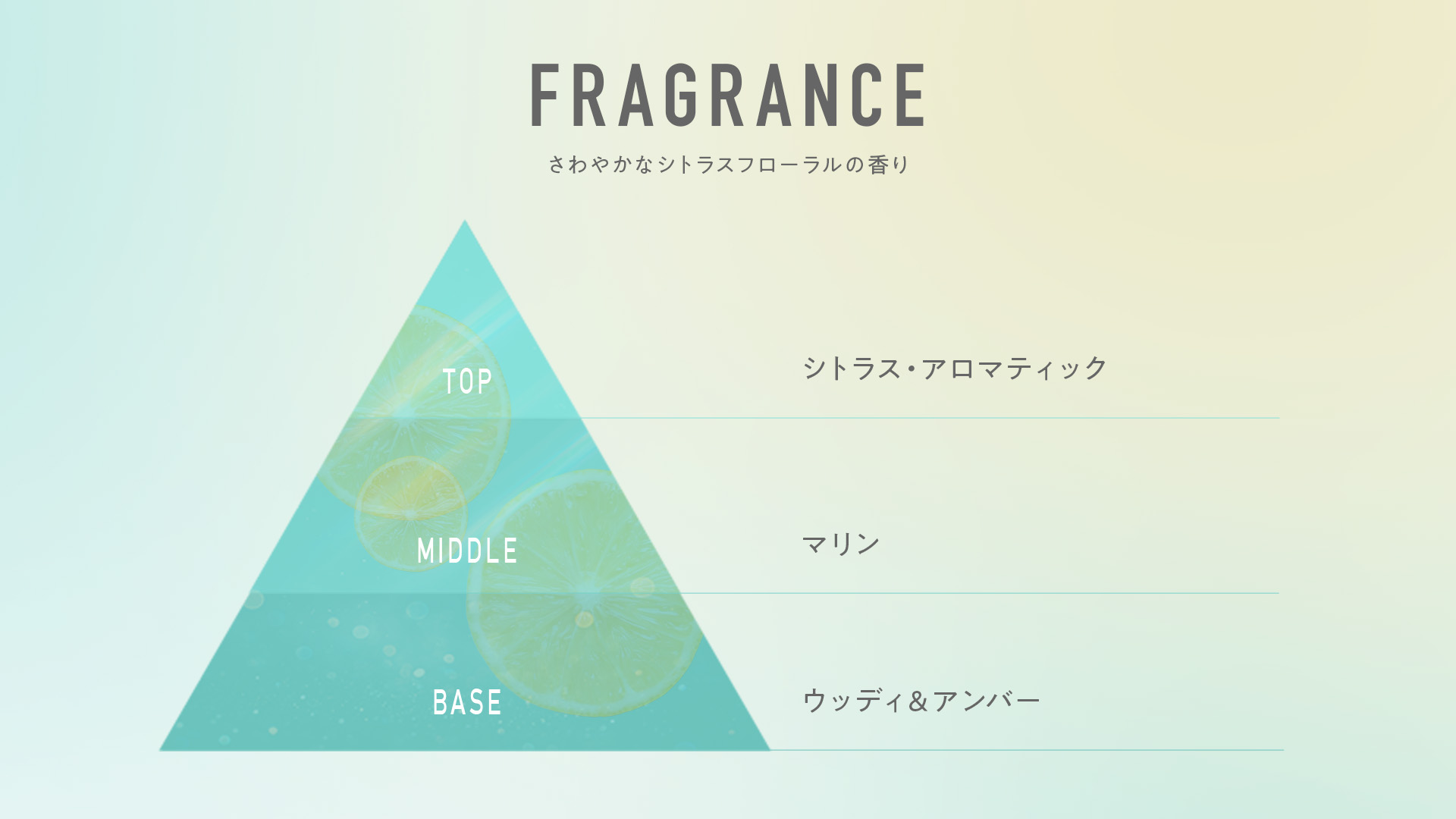 香りの三角図。トップはシトラス・アロマティック、ミドルはマリン、ベースはウッディ＆アンバー