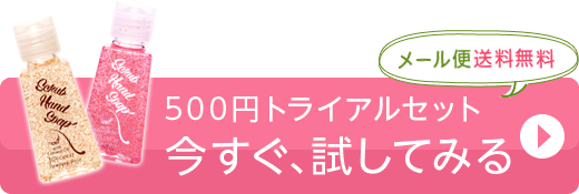 500円トライアルセット 今すぐ、試してみる メール便送料無料